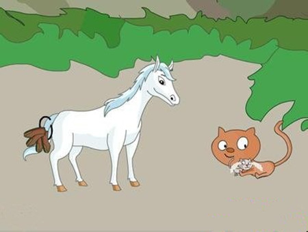 小猫和小马的故事