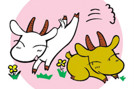 小猫和小羊的故事